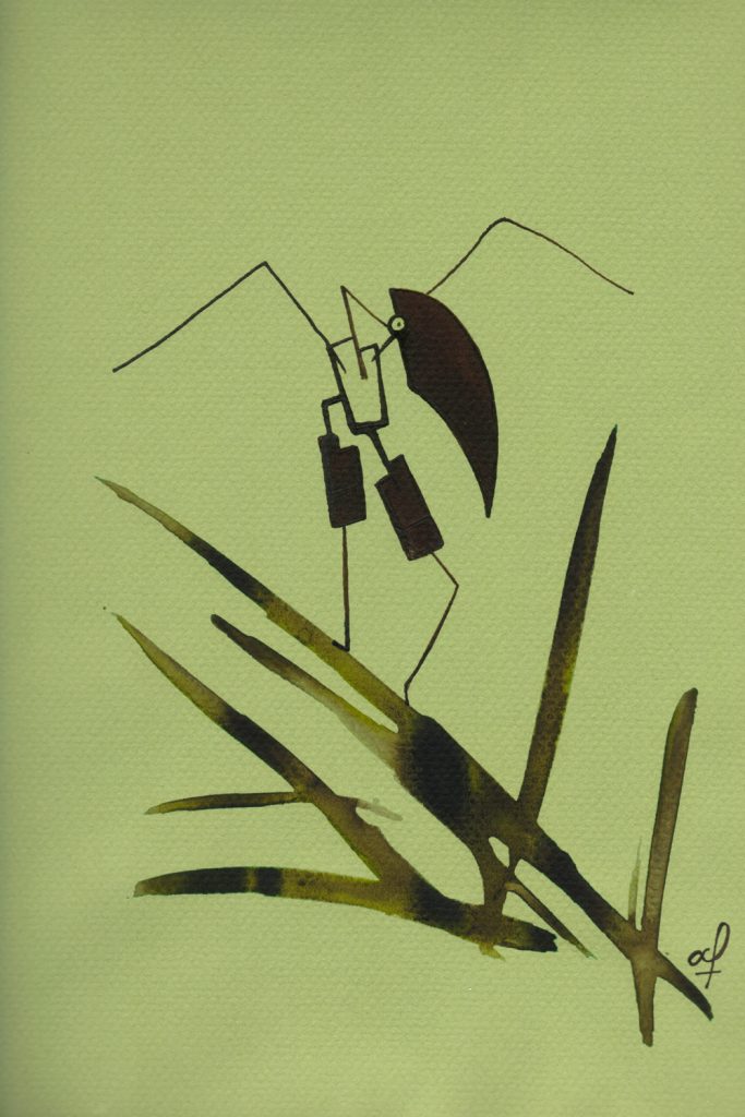 One day, One drawing - Day 005 : The marshes - Ink drawing by Olivier Cornil