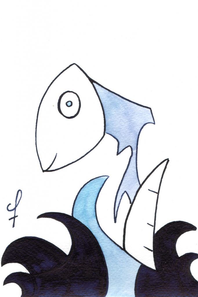 One day, One drawing - Day 009 : Sea bird 01 - Ink drawing by Olivier Cornil